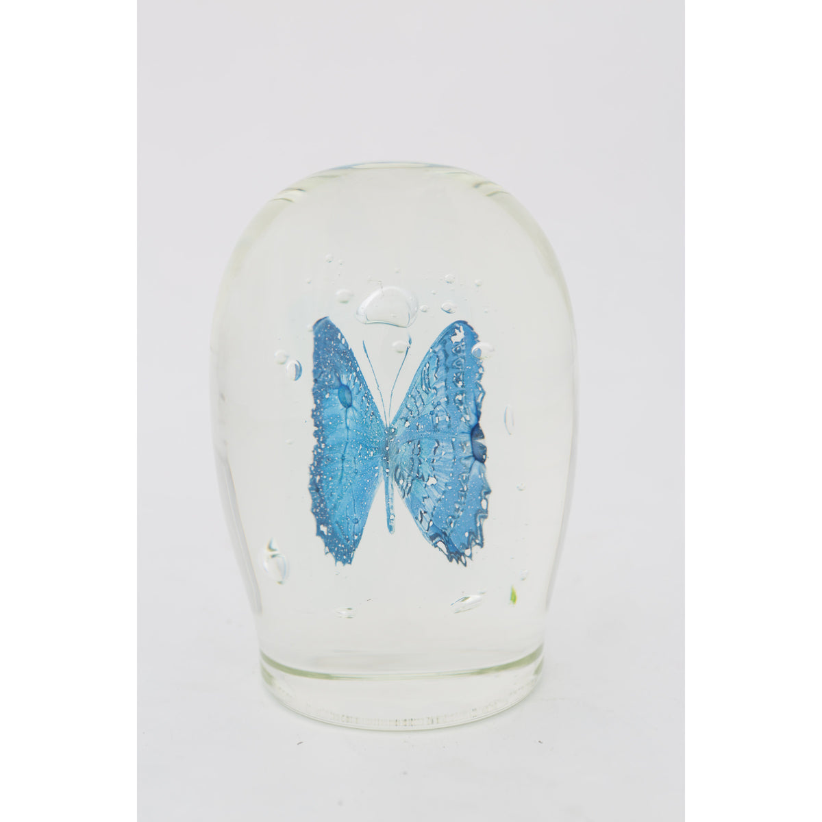 Lepidoptera VII by Tegan Hamilton