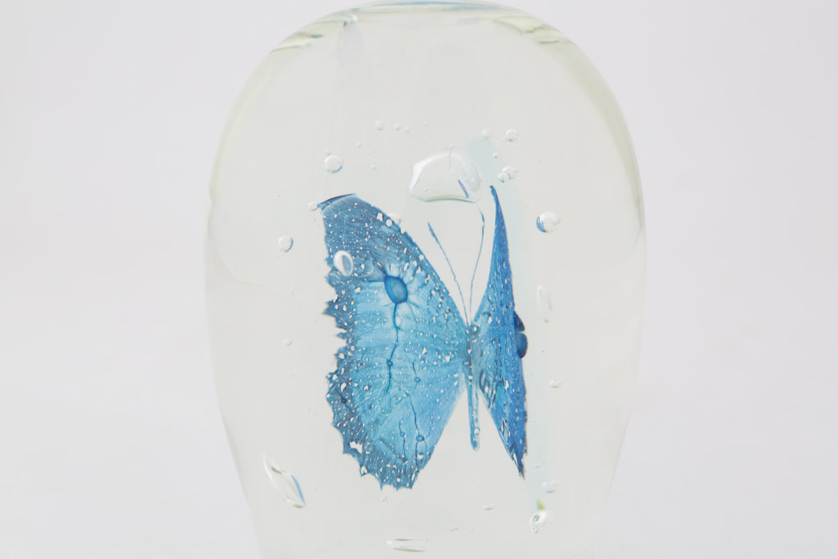 Lepidoptera VII by Tegan Hamilton