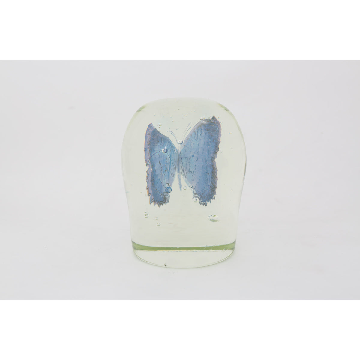Butterfly by Tegan Hamilton