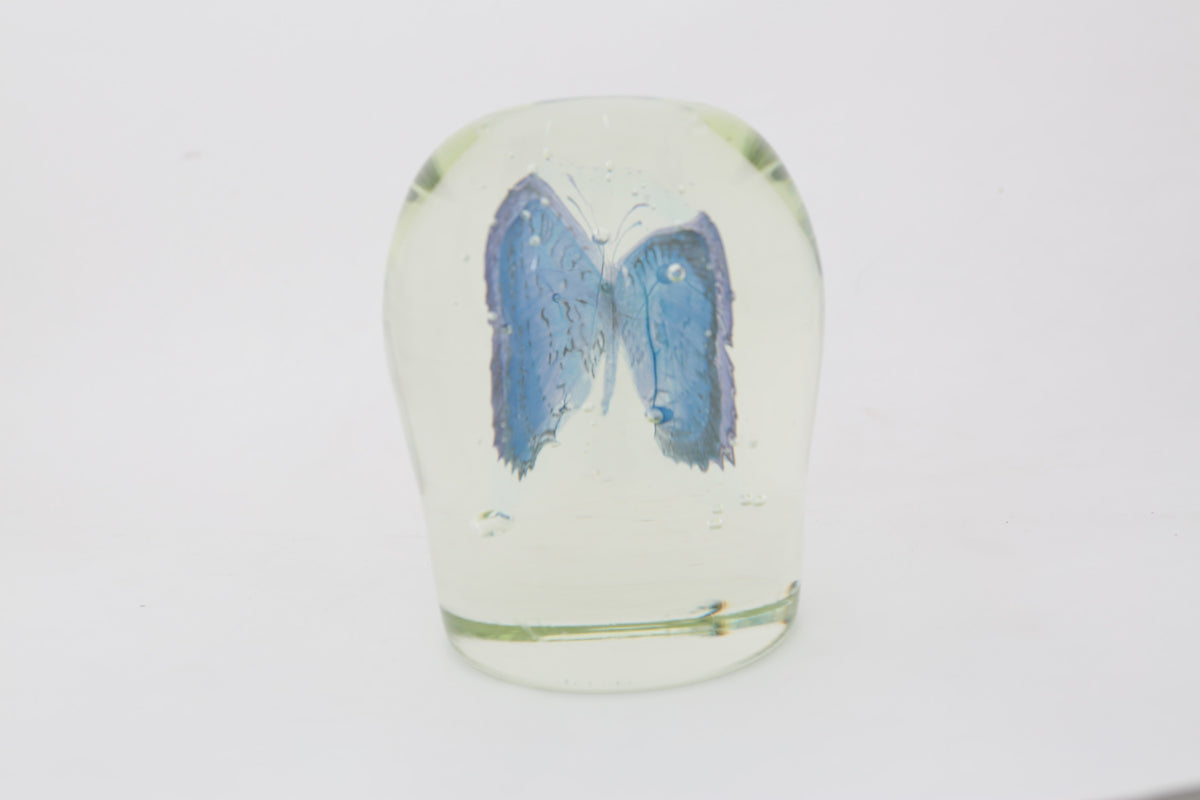 Butterfly by Tegan Hamilton