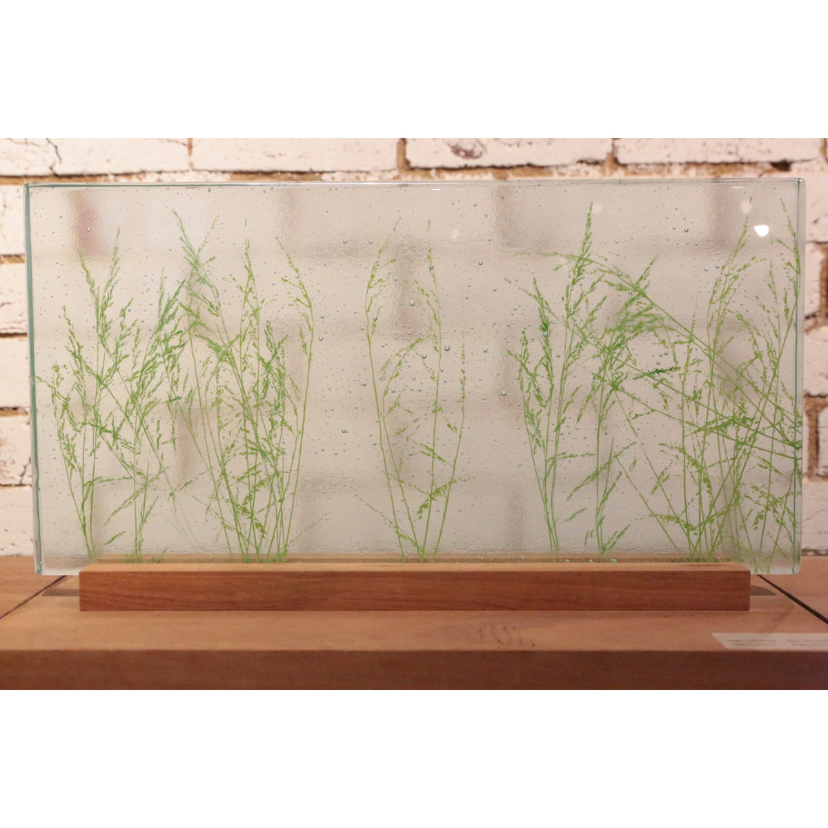Poaceae V by Tegan Hamilton