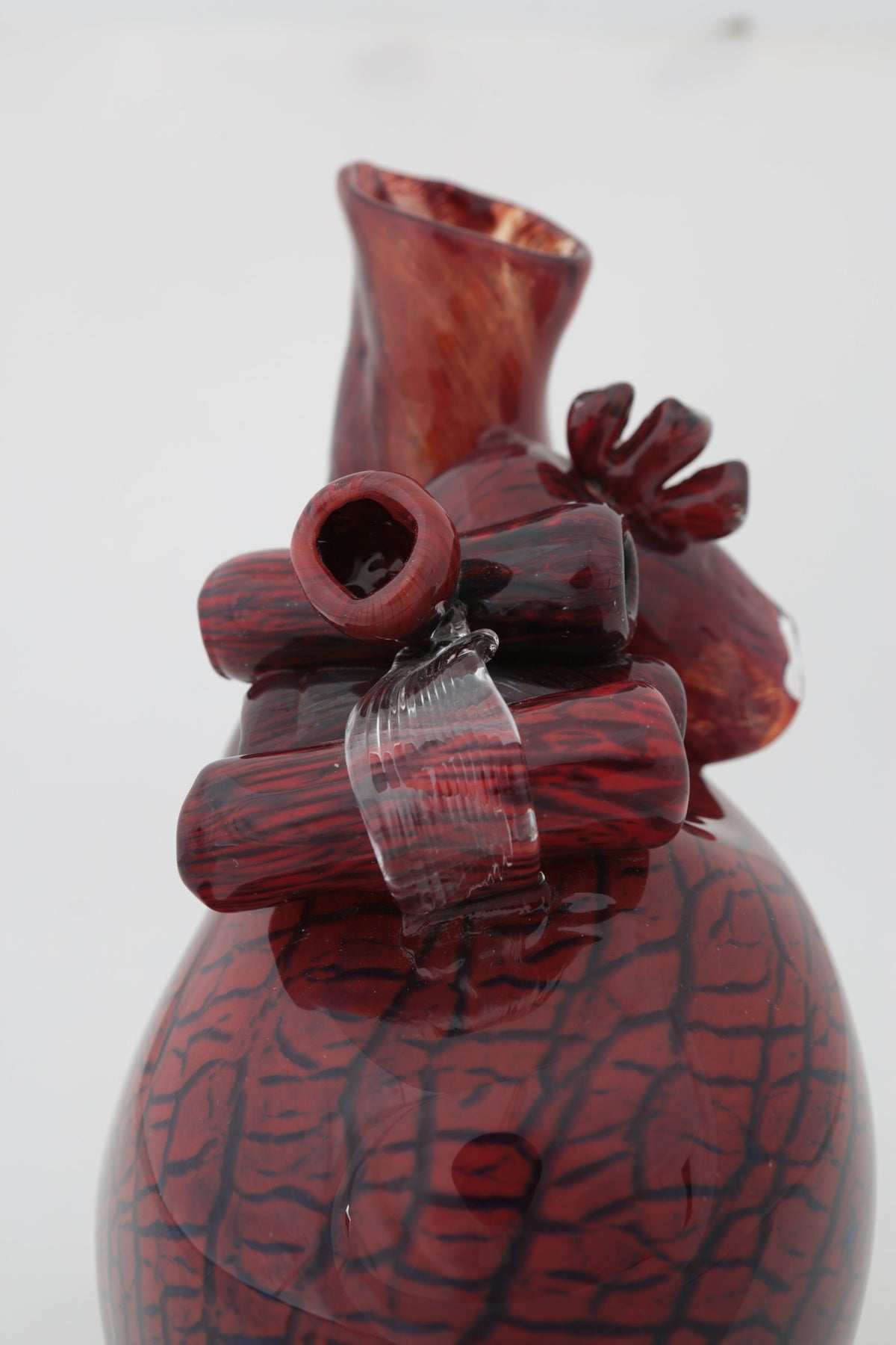 Cardio XI by Tegan Hamilton