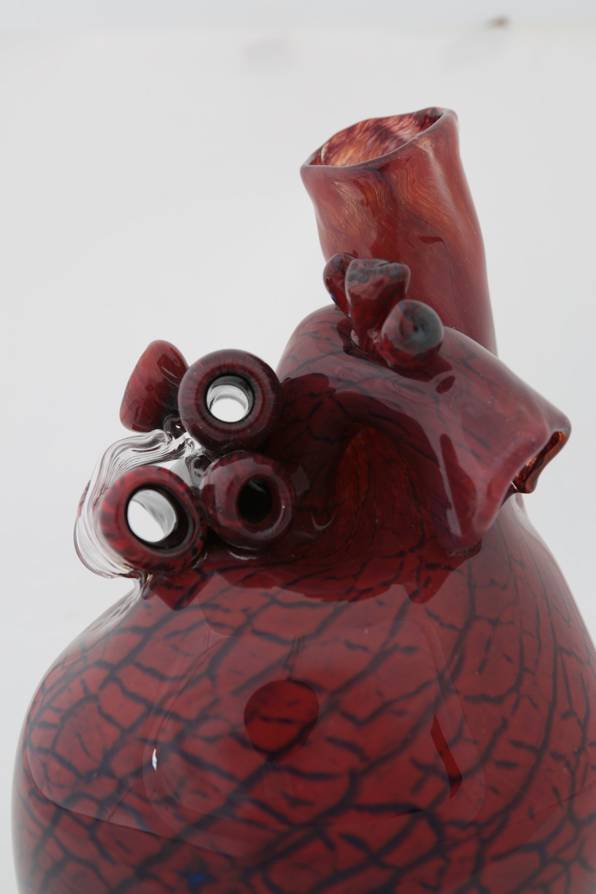 Cardio XI by Tegan Hamilton