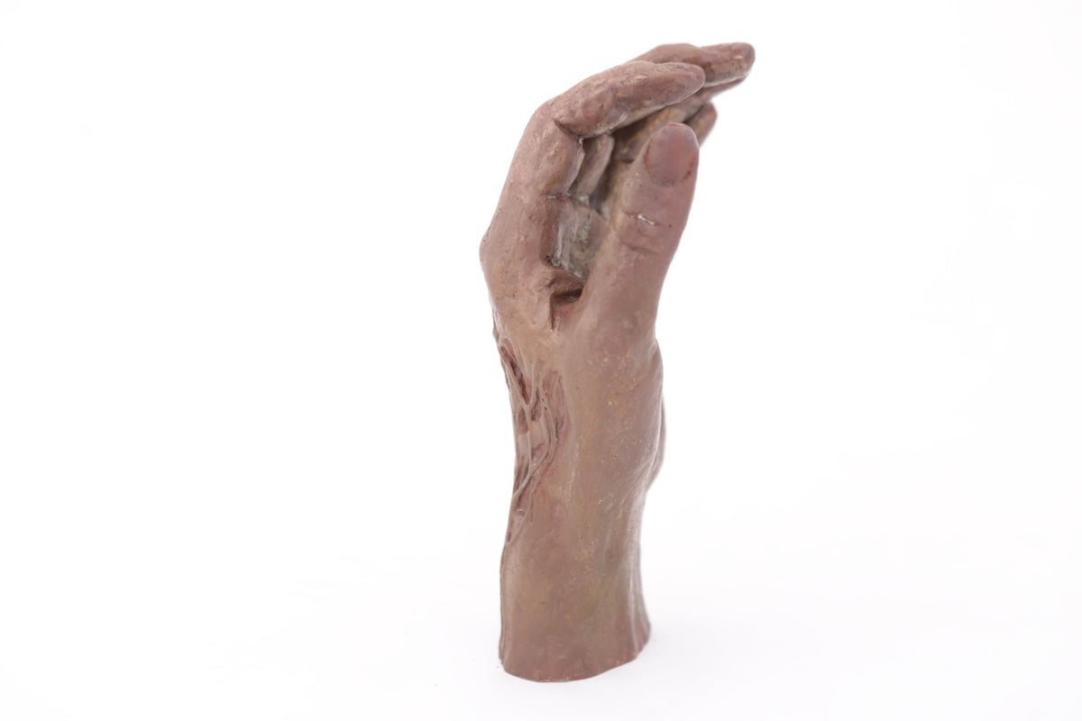 'Enacted I' by Tegan Hamilton