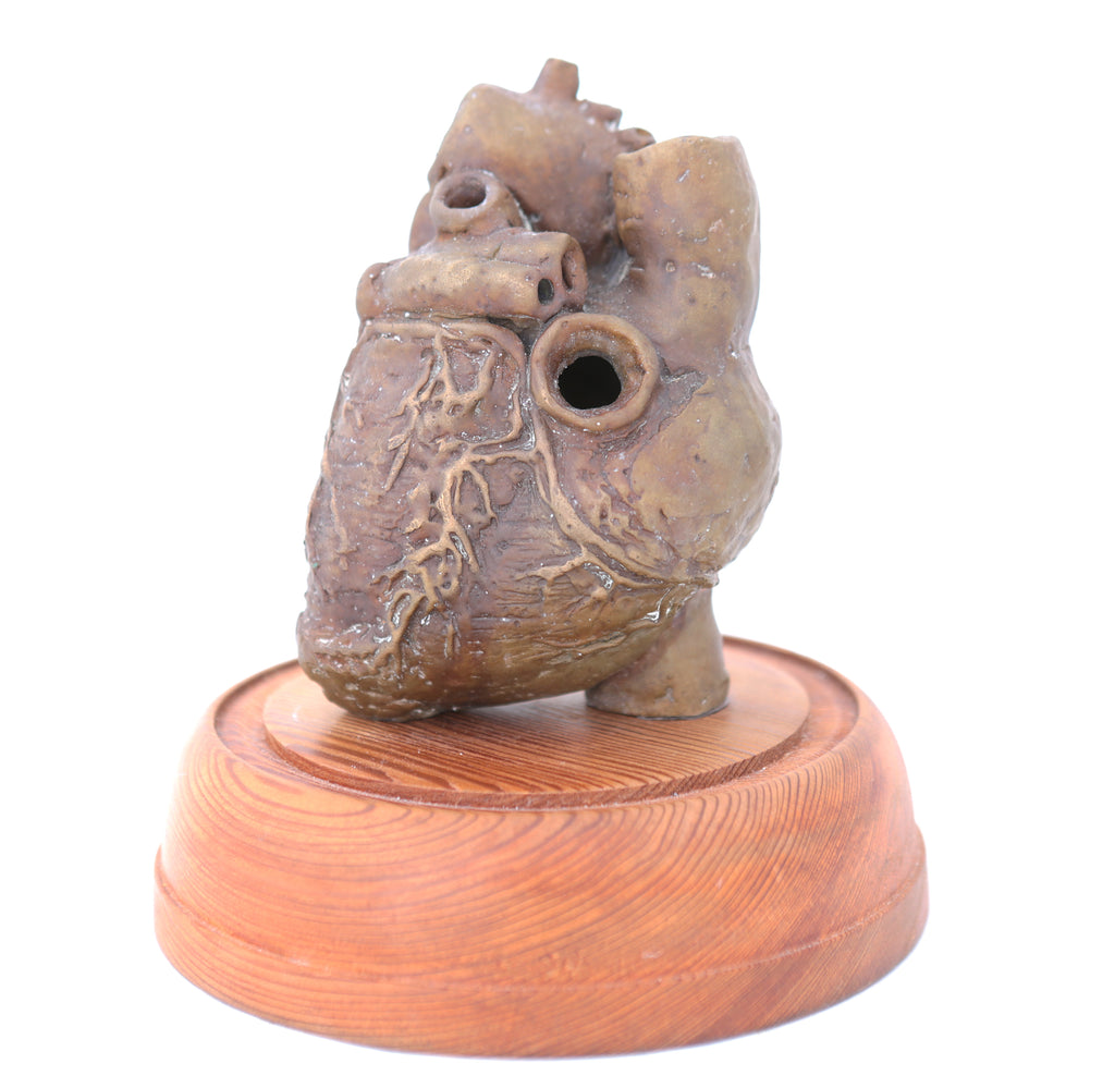 Tachycardia I, 2017 | Tegan Hamilton | 12x8.5x8.5cm