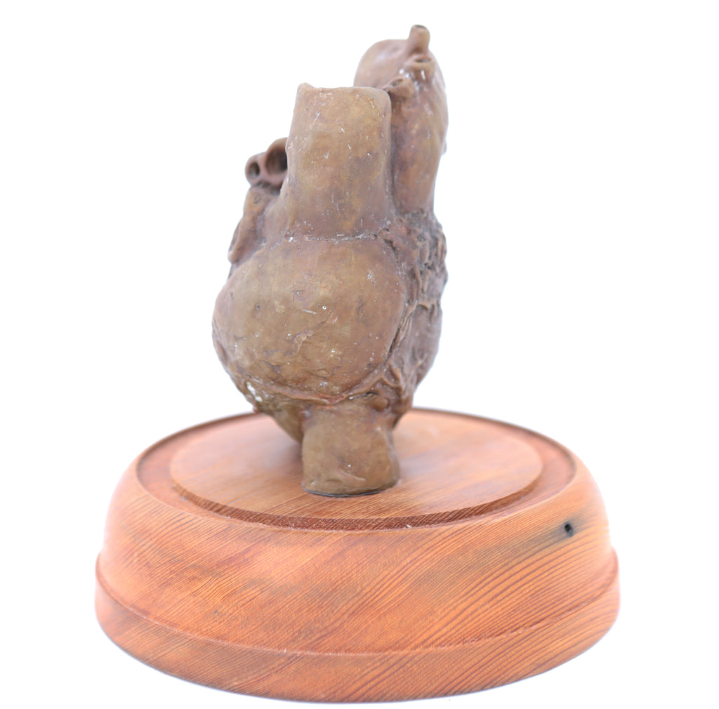 Tachycardia I, 2017 | Tegan Hamilton | 12x8.5x8.5cm