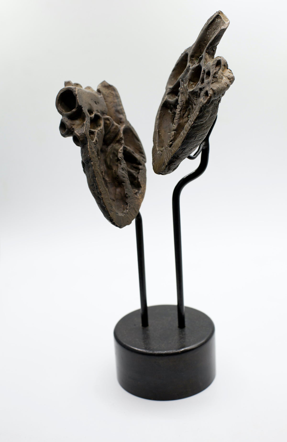 Departed Heart by Tegan Hamilton