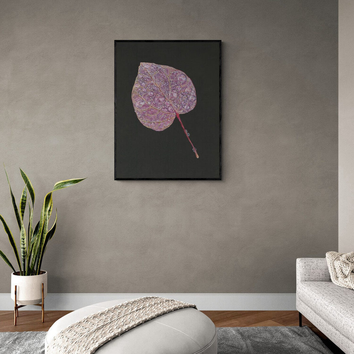 Folium by Tegan Hamilton