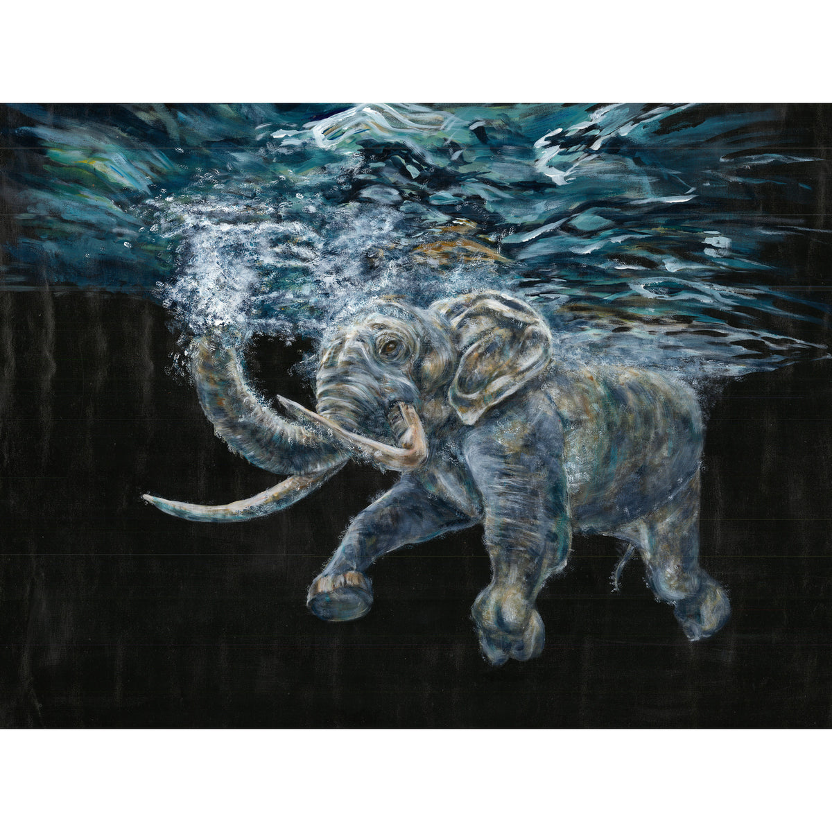 Elephantidae by Tegan Hamilton