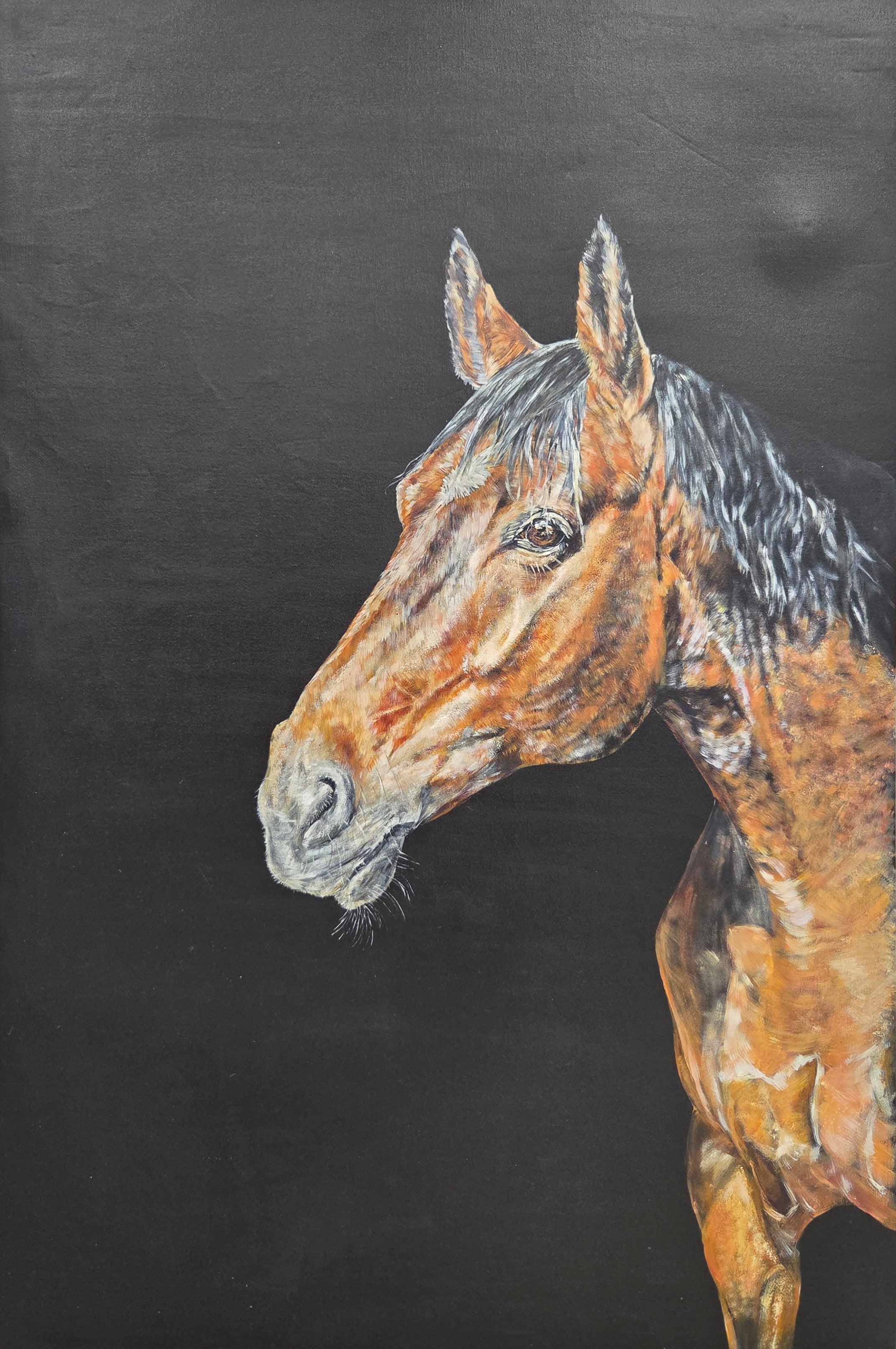 Tegan Hamilton | 'Horse, 2024' | 120x180cm-thumbmail-1