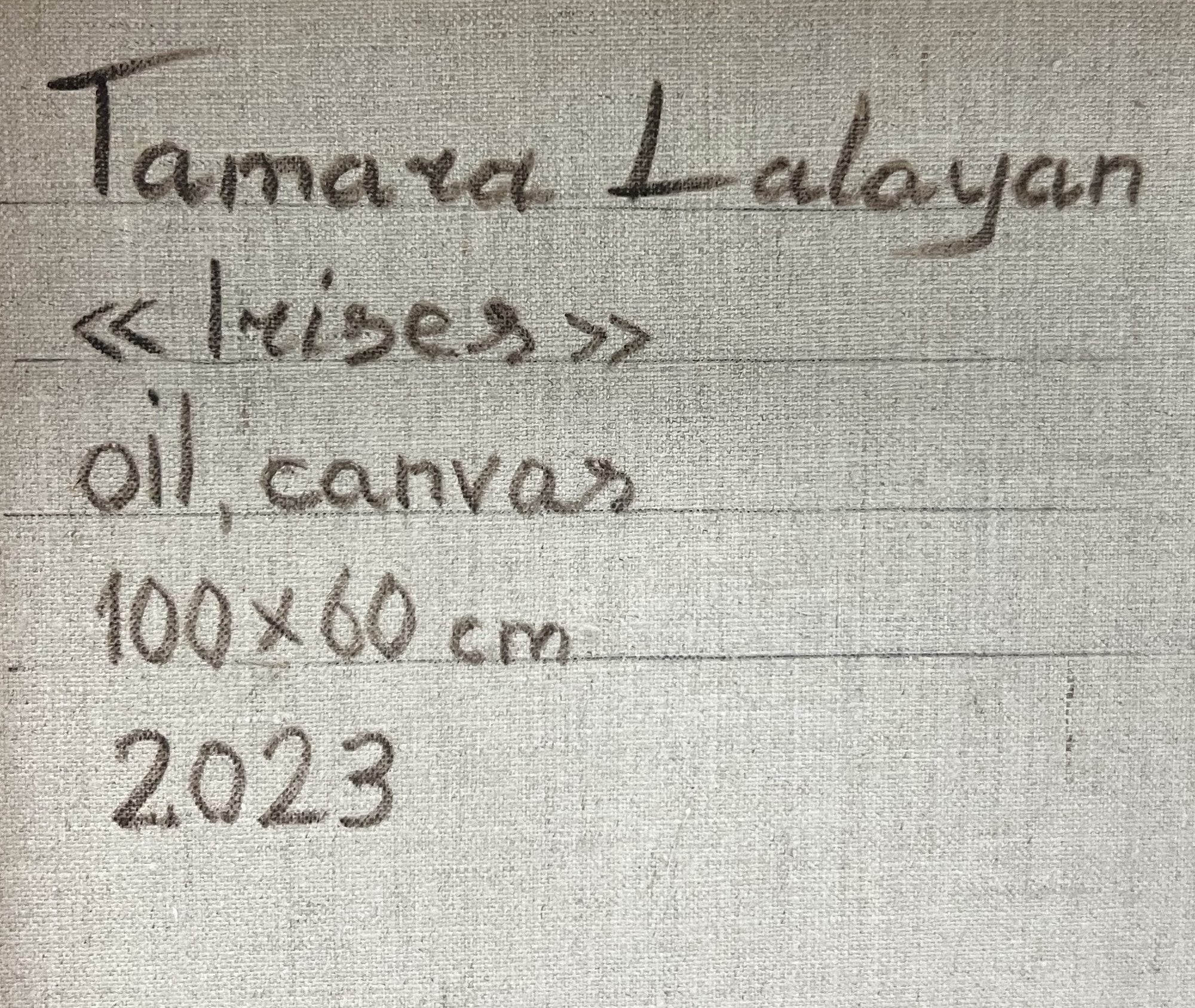 Additional view of Irises by tamara lalayan