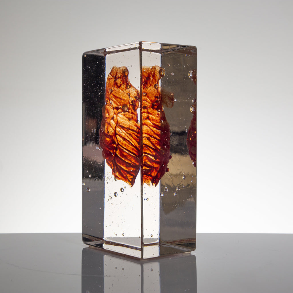 'Cardiovascular II' | 22.5x8x12cm