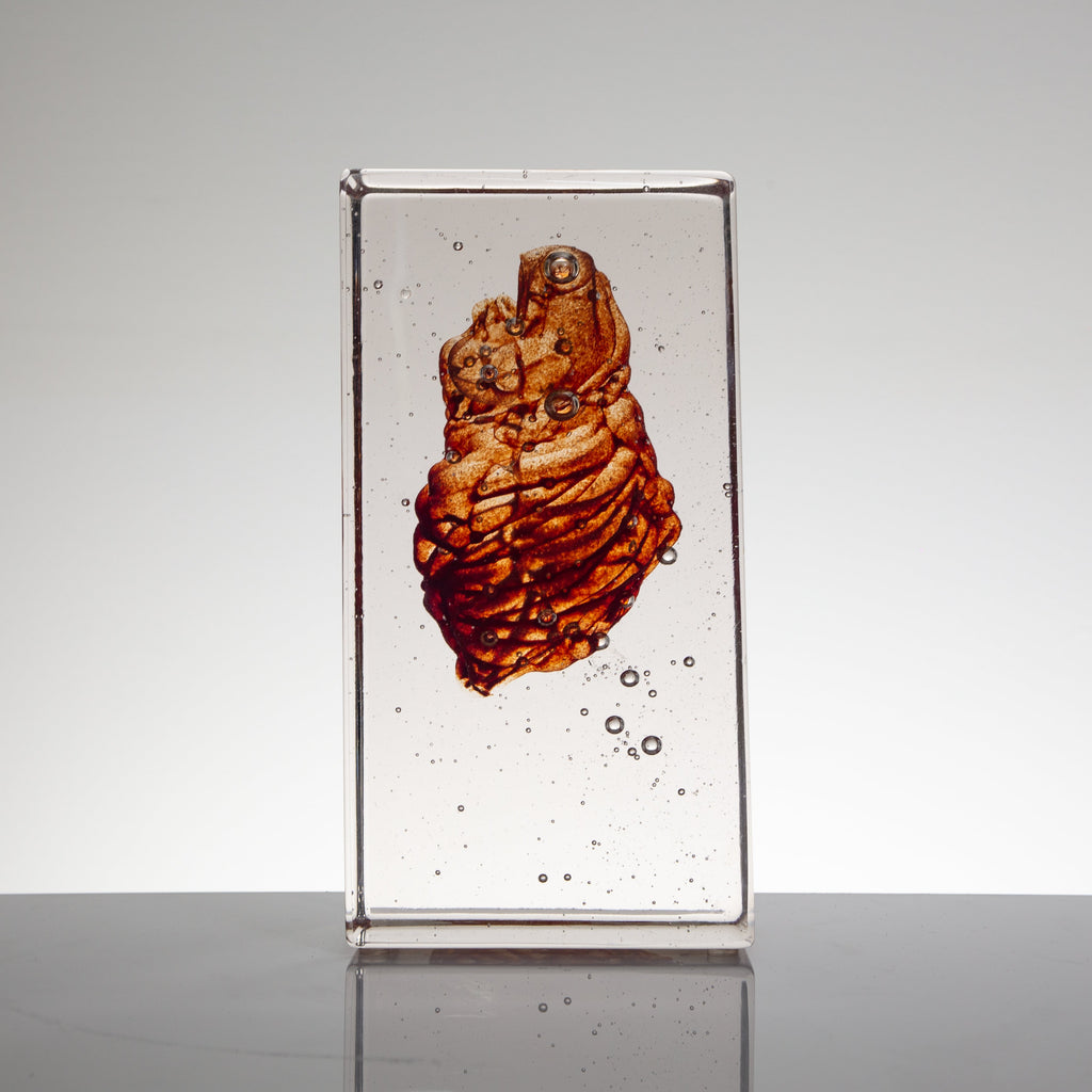 'Cardiovascular II' | 22.5x8x12cm