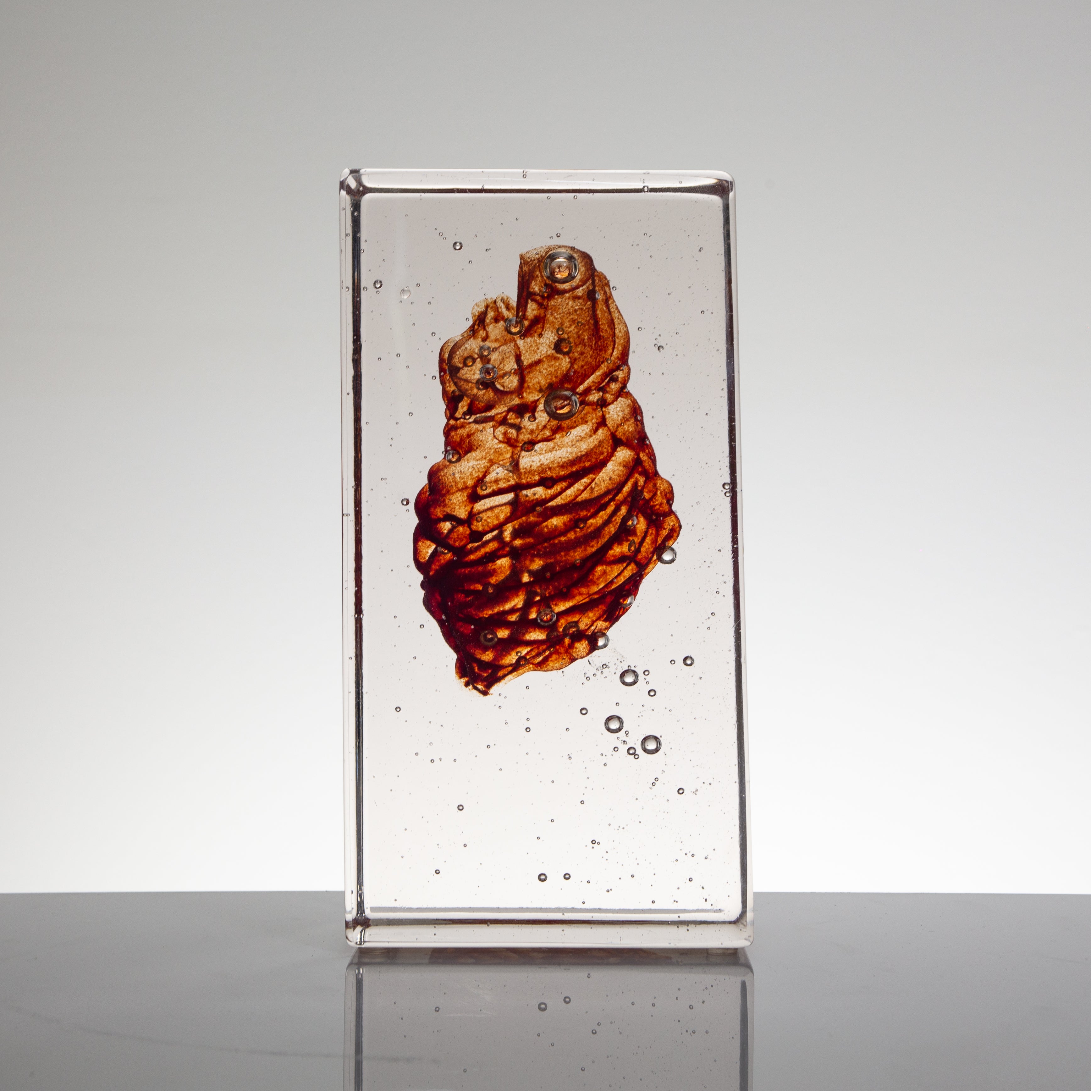 'Cardiovascular II' | 22.5x8x12cm