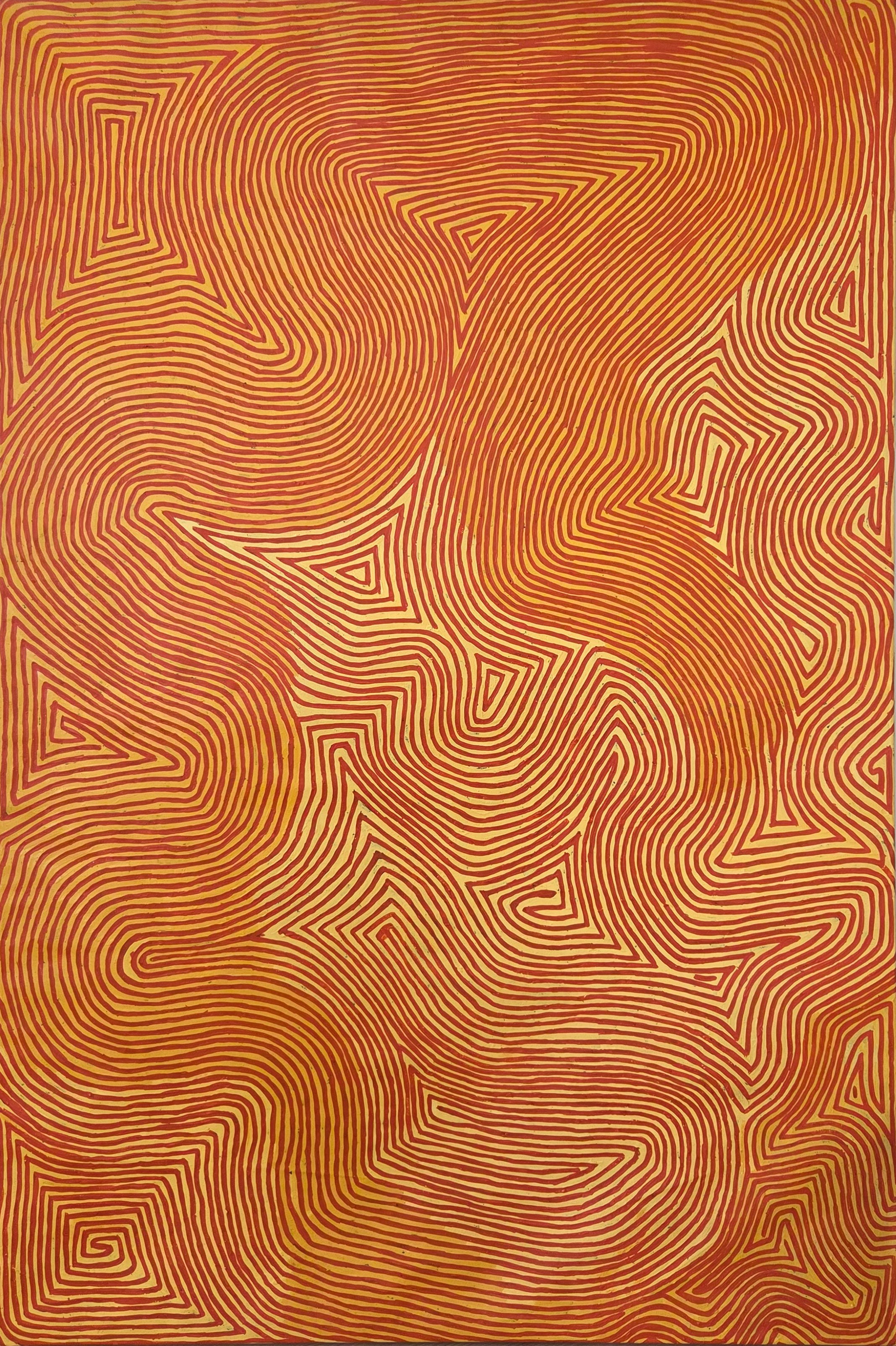 George Hairbrush Tjungurrayi | 'Tingari Dreaming, 2021' | 121x182cm