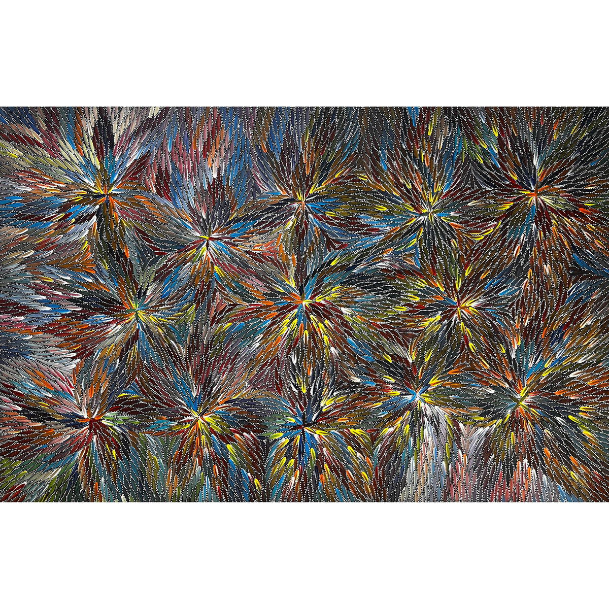 Bush Medicine by Bernadine Johnson Kemarre