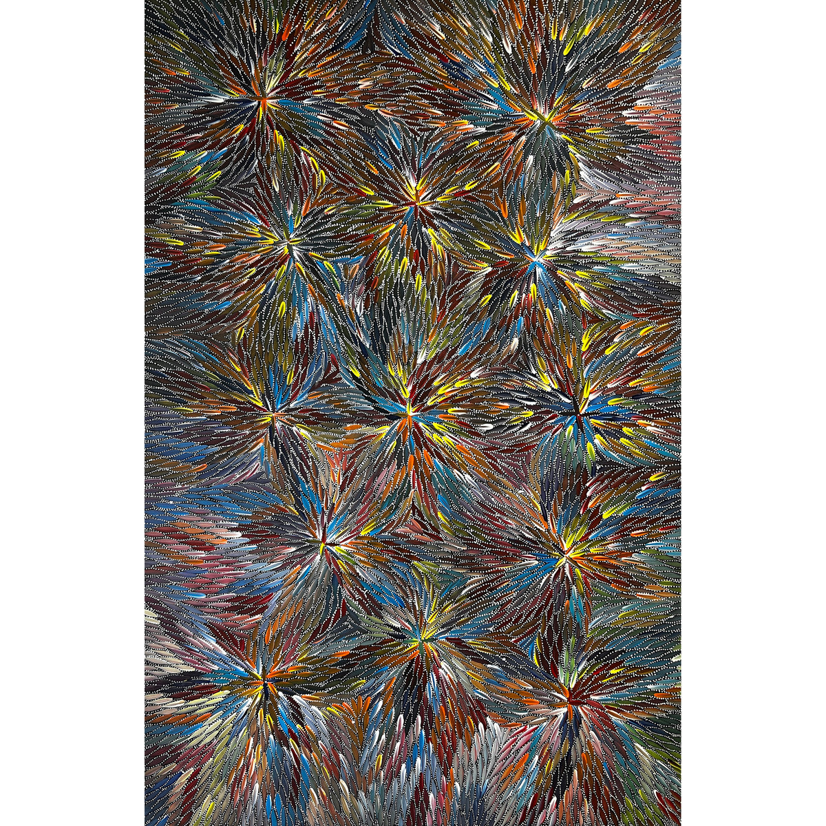 Bush Medicine by Bernadine Johnson Kemarre