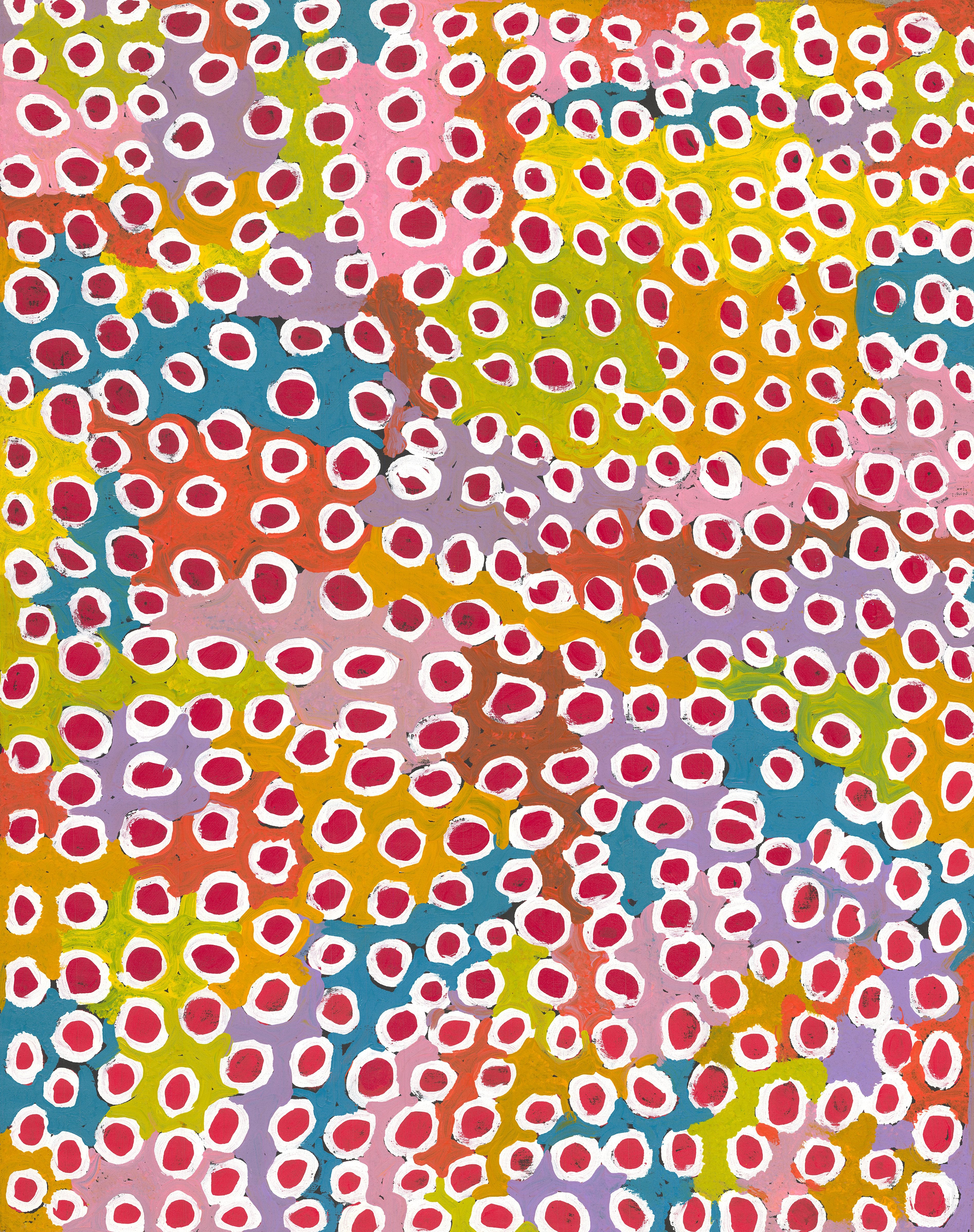 Betsy Lewis Napangardi | 'Native Truffle from Mina Mina, 2009' | 120x95cm