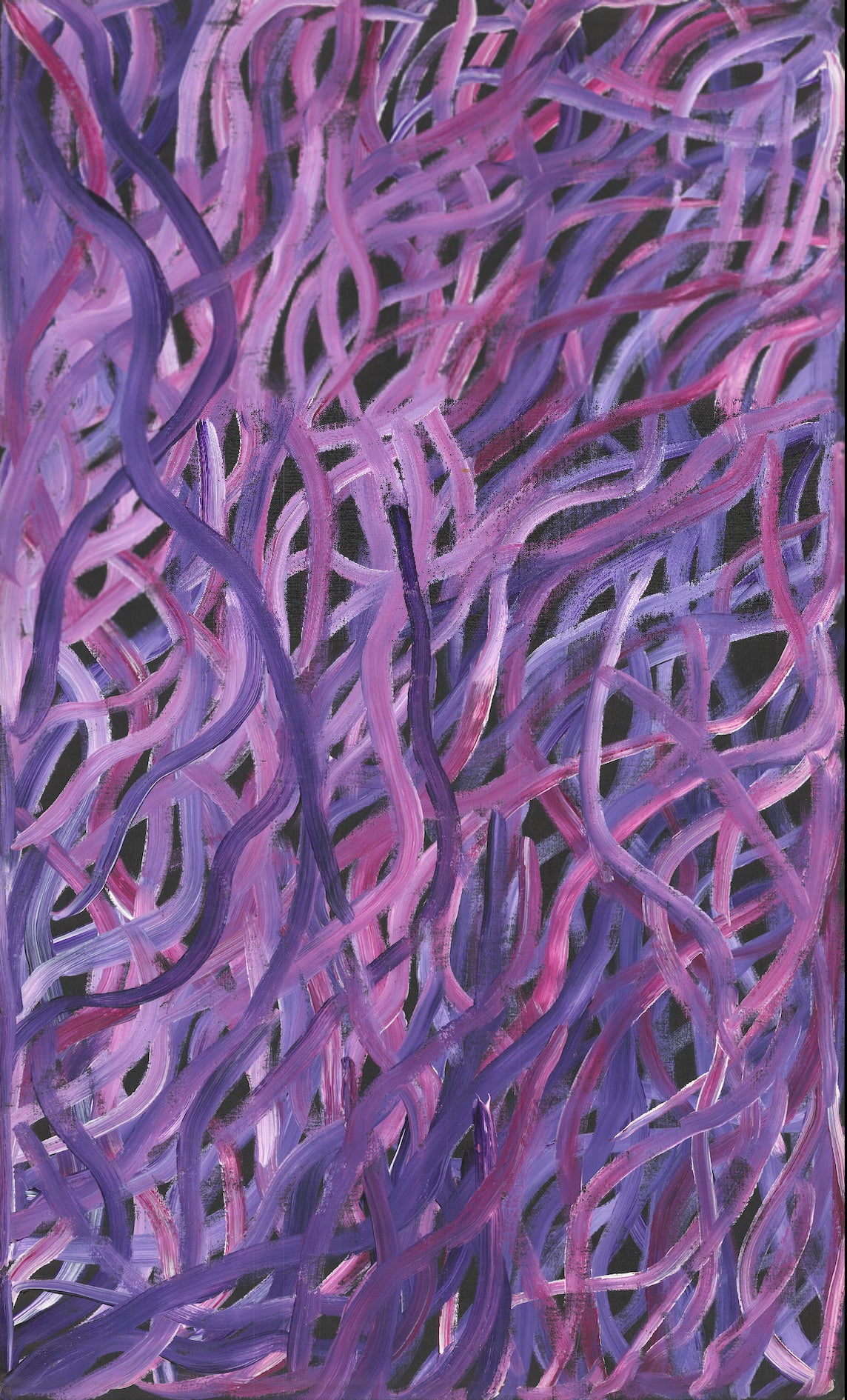 Evelyn Pultara | 'Bush Yam, 2020' | 153x92cm