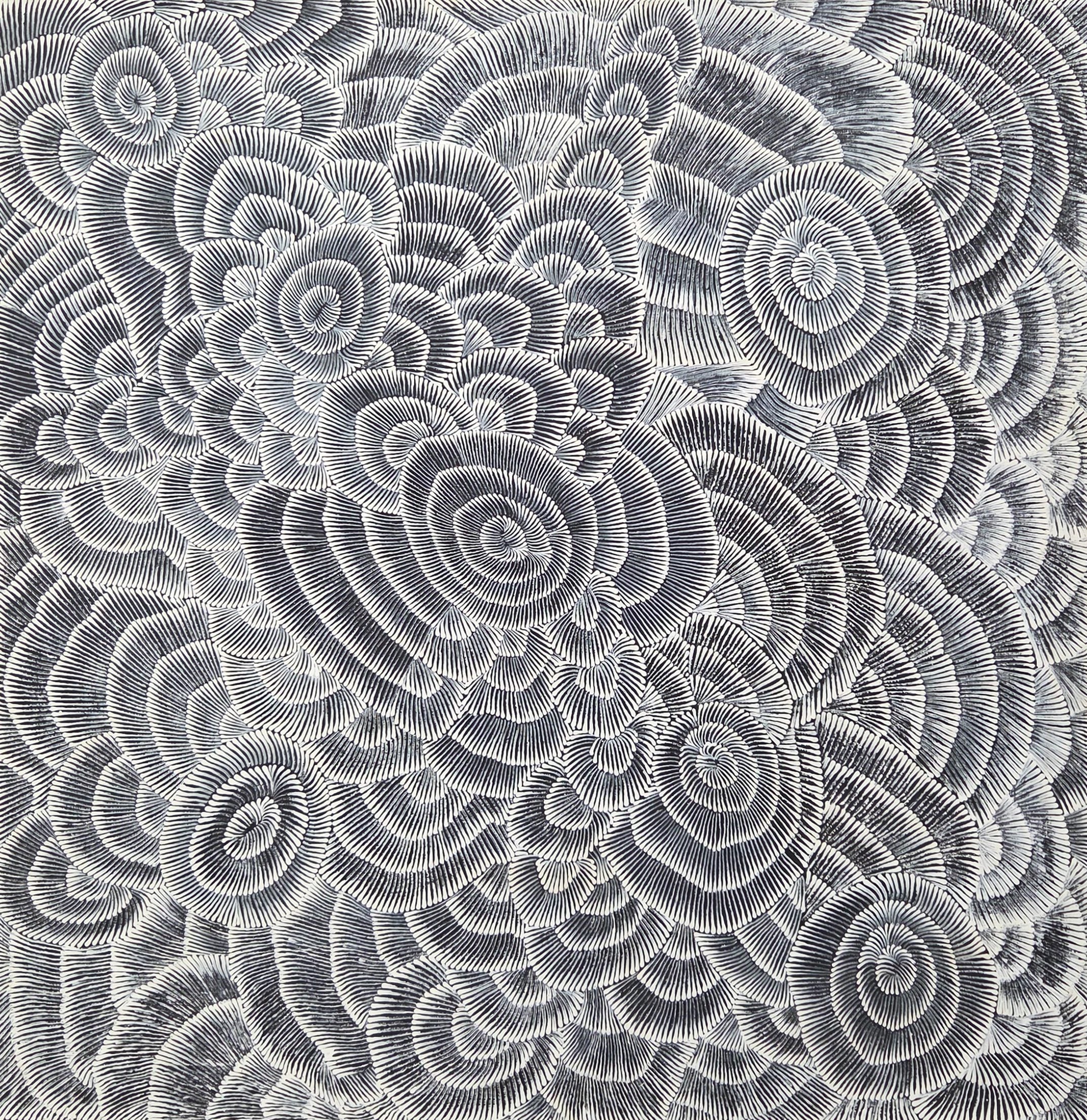 Lily Sandover Kngwarreye | 'Enteebra, 2000' | 120x120cm
