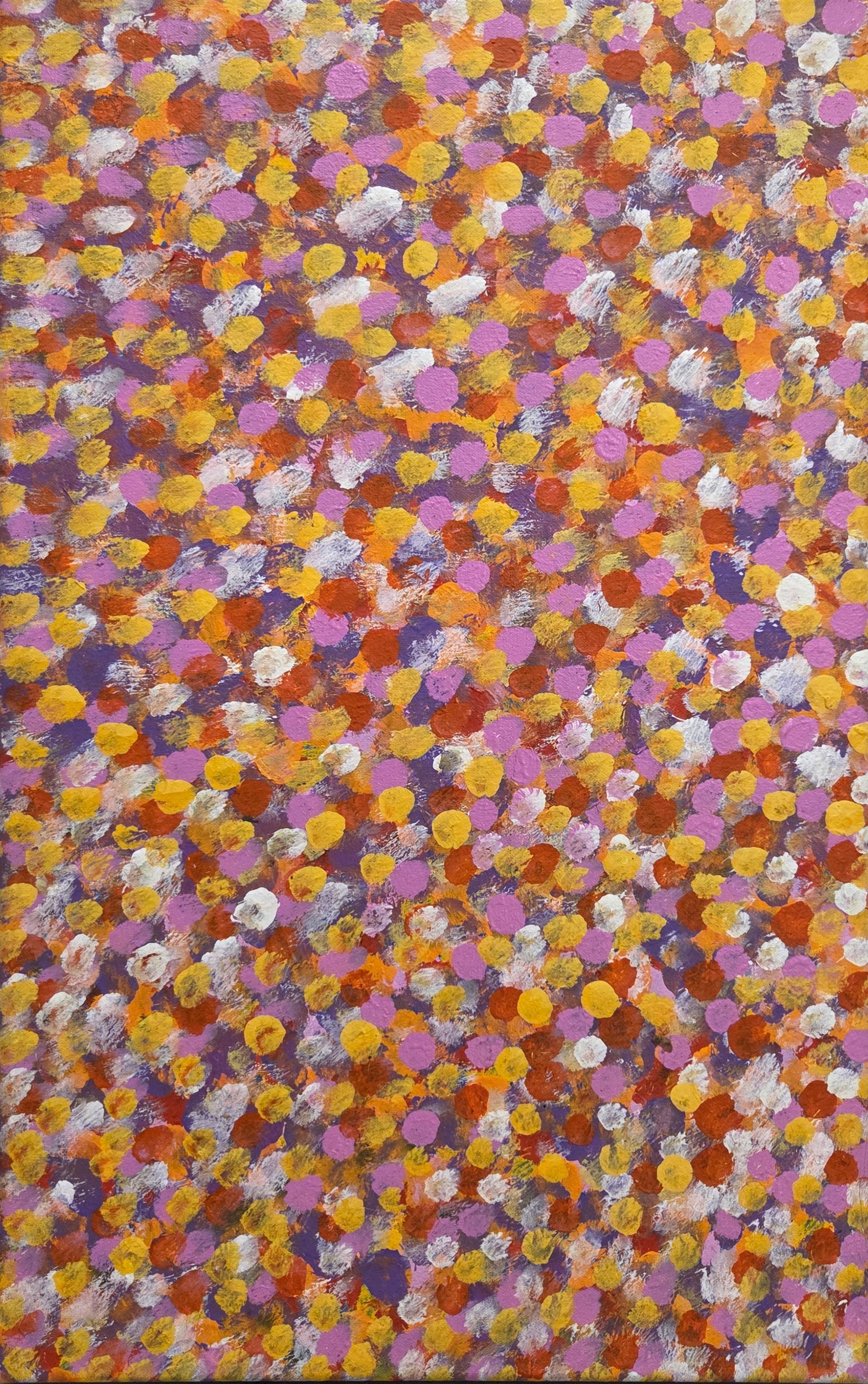 Polly Ngale | 'Bush Plum, 2020' | 38x61cm