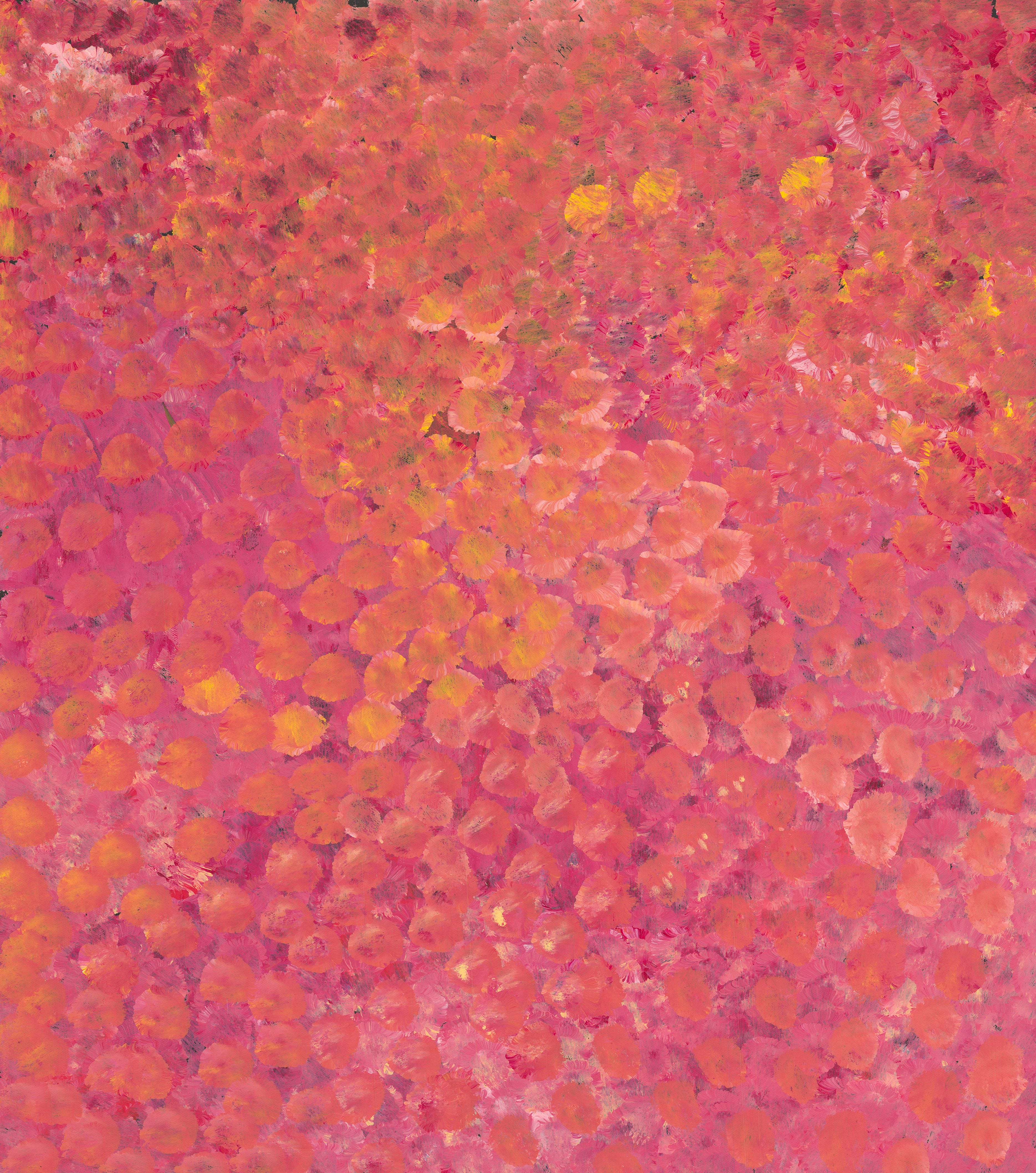 Polly Ngale | 'Bush Plum, 2019' | 95x82cm