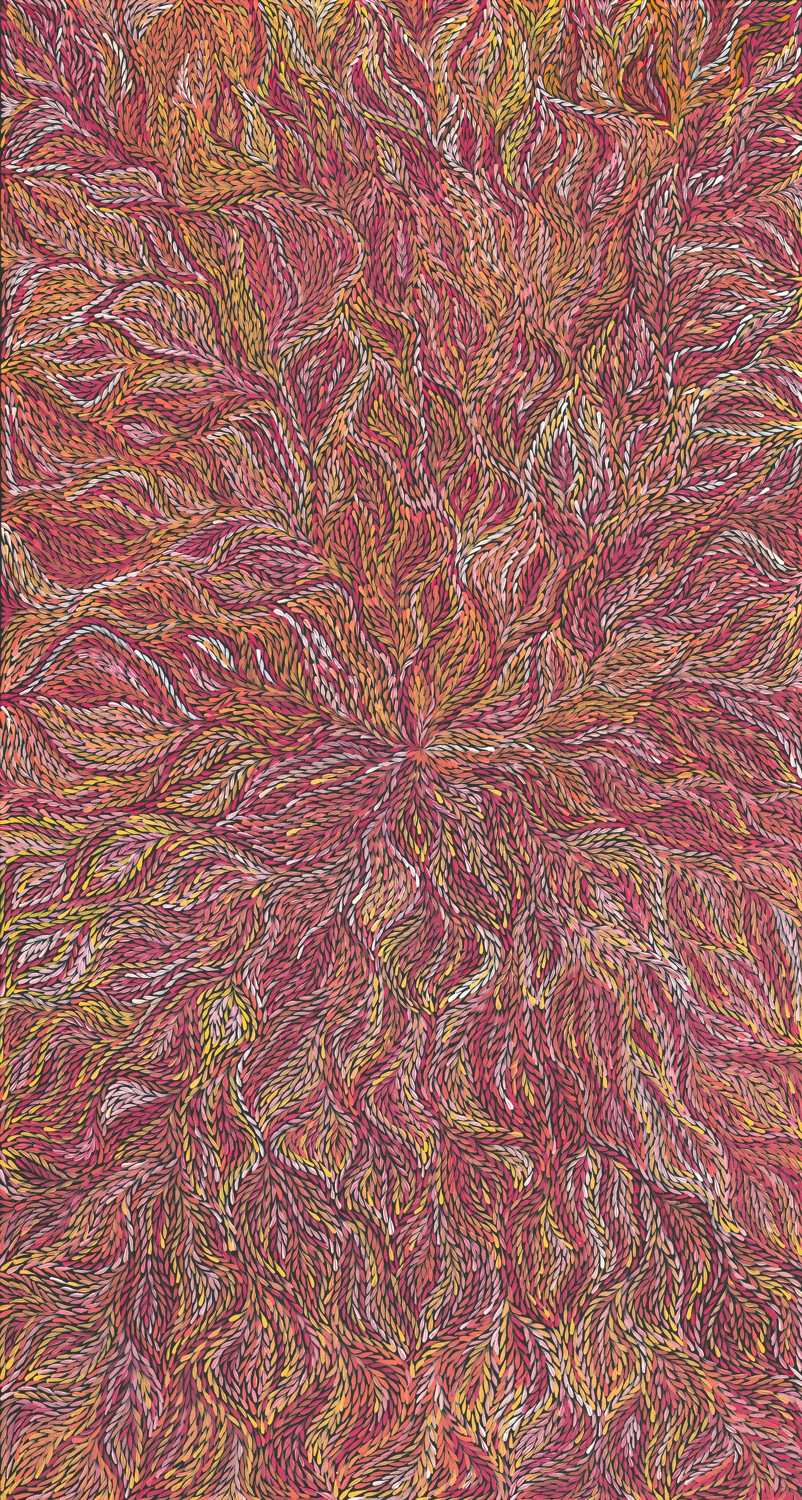 Rosemary Petyarre | 'Medicine Leaves, 2024' | 200x110cm