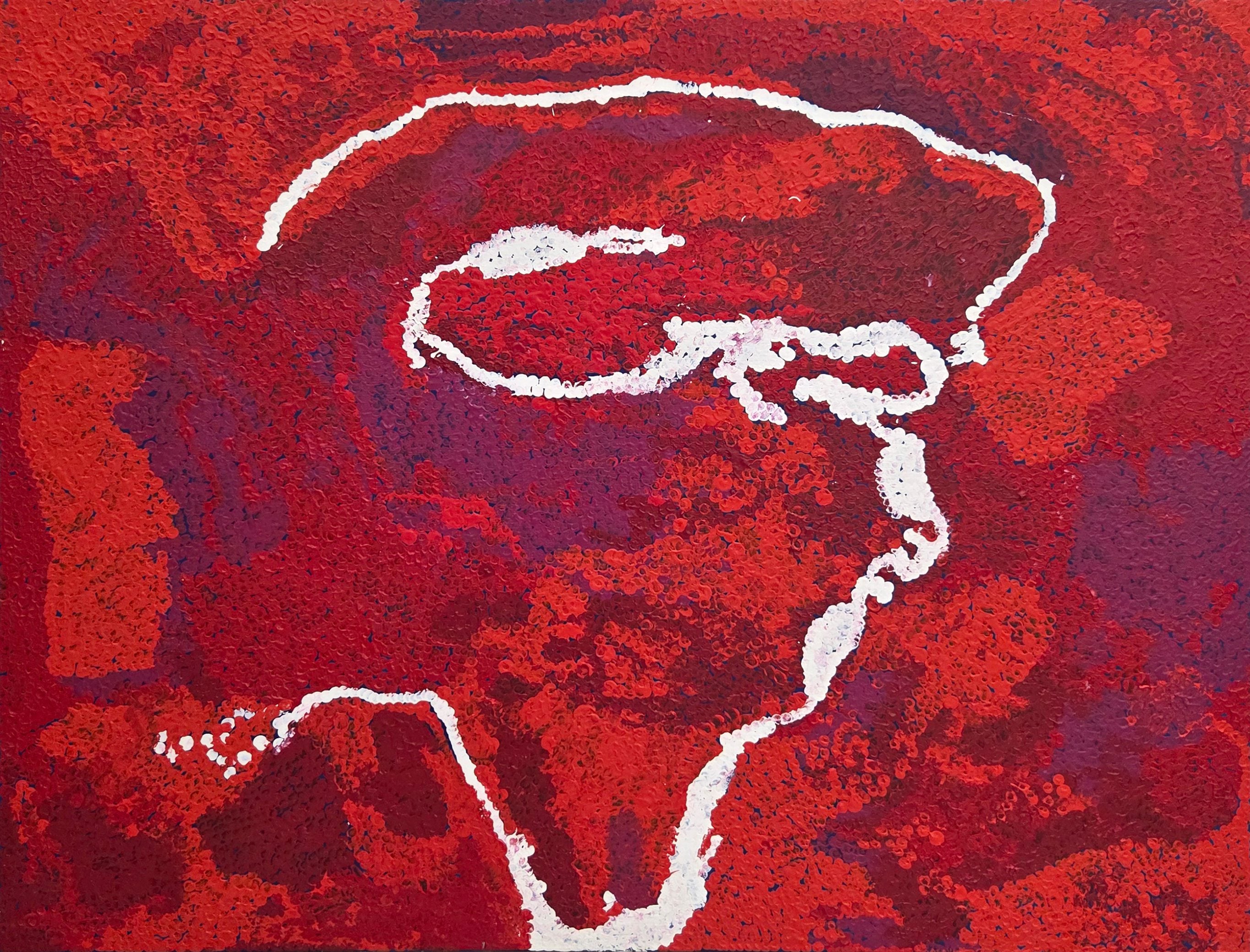 Tommy Watson | 'My Country, 2011' | 152x122cm