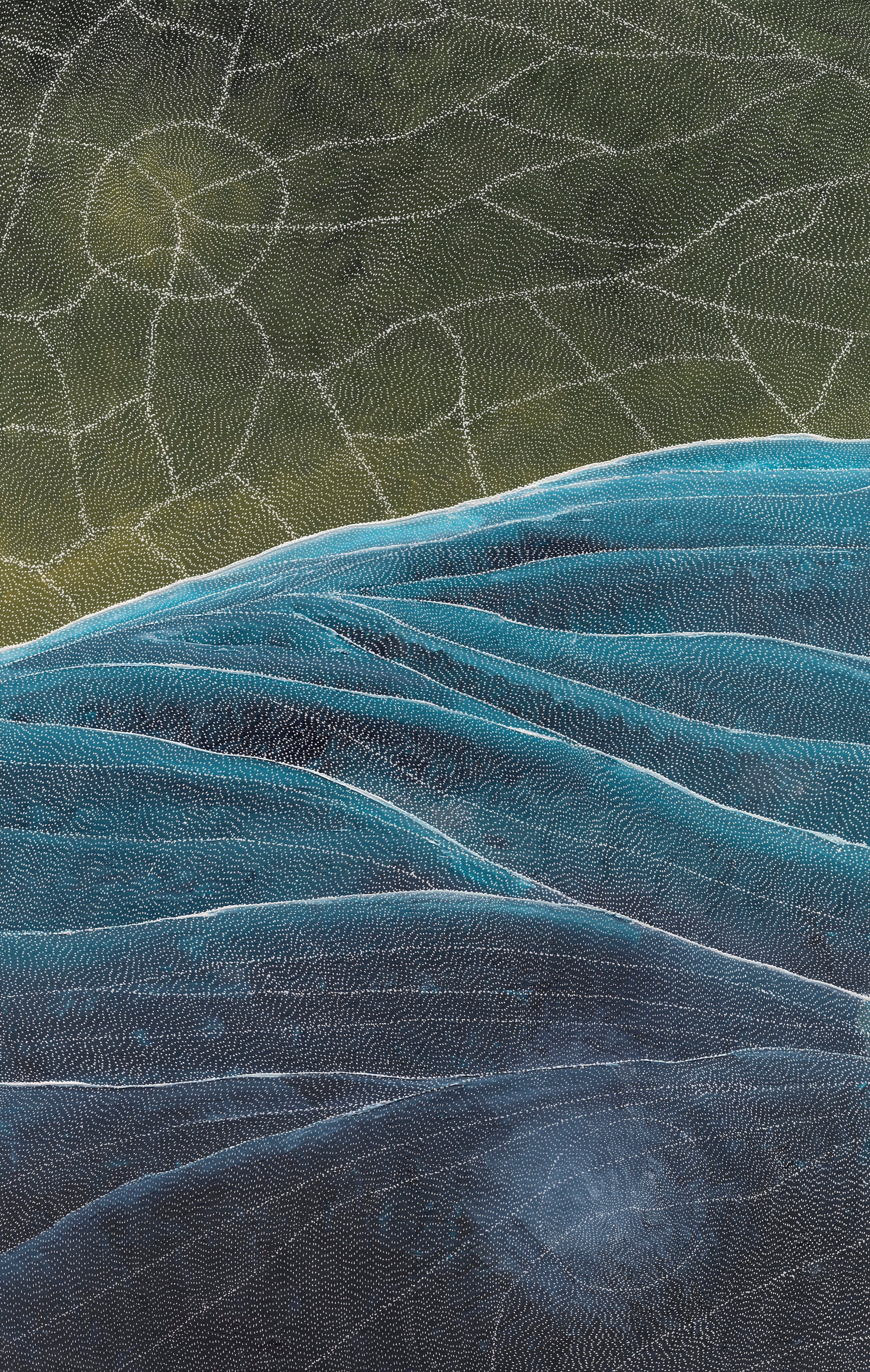 Sarrita King | 'Earth Elements, 2025' | Canvas Print-thumbmail-3
