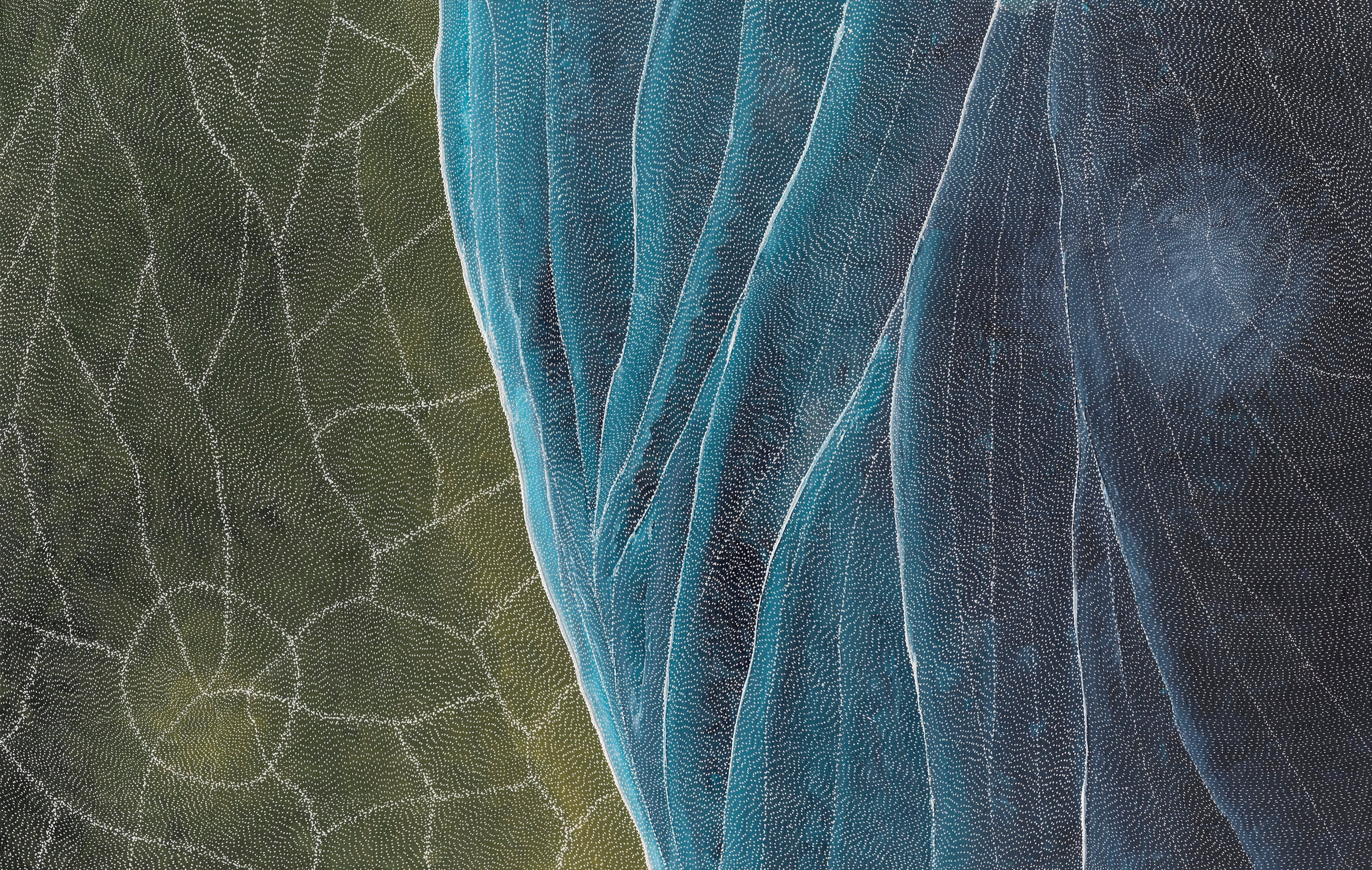 Sarrita King | 'Earth Elements, 2025' | Canvas Print-thumbmail-4