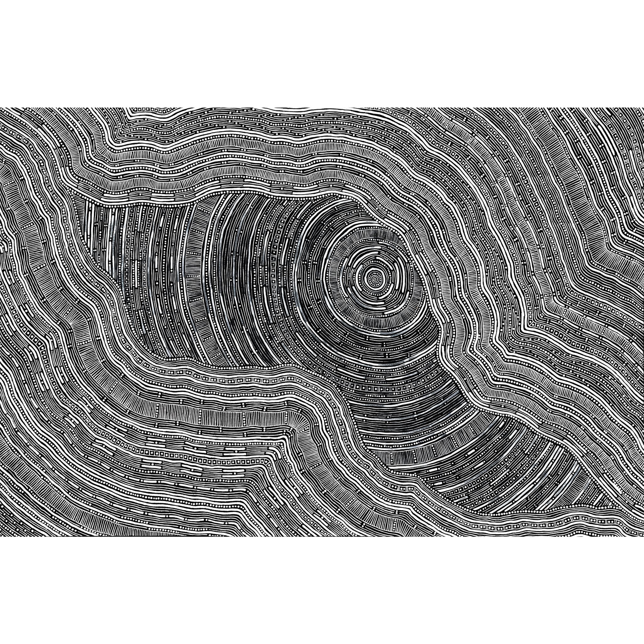 Sarrita King | 'Language Of The Earth, 2024' | Canvas Print-thumbmail-1