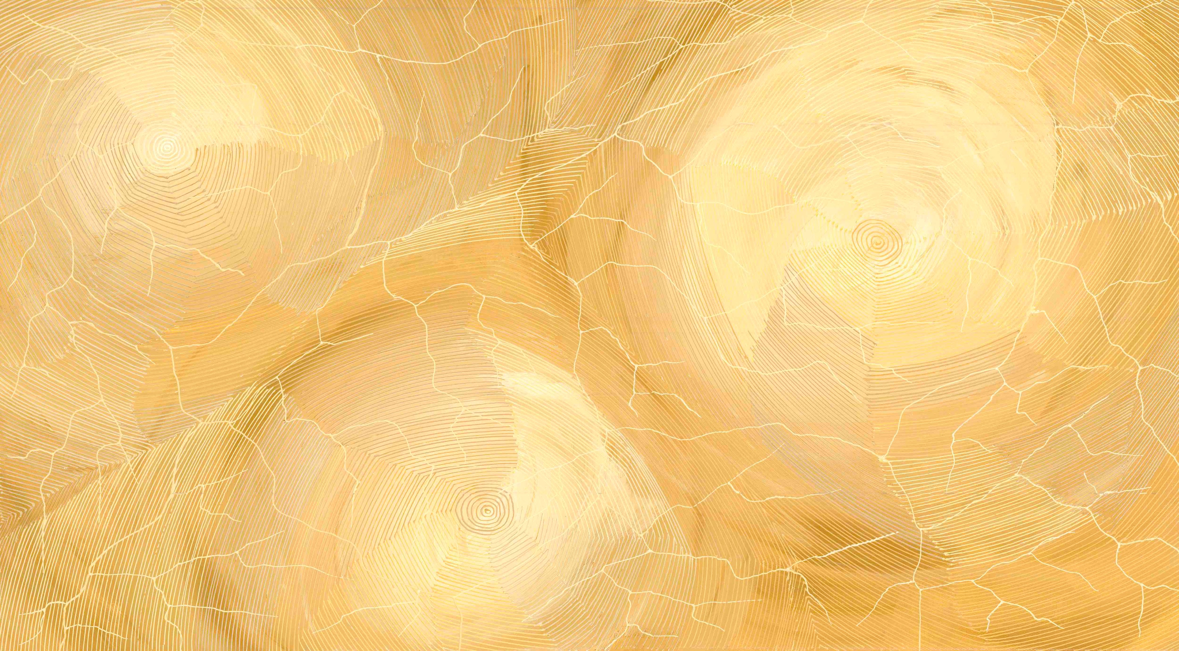 Sarrita King | 'Ngurra, 2023' | 50x90cm