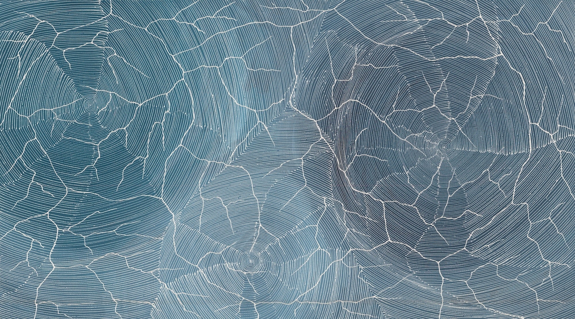 Sarrita King | 'Ngurra, 2023' | 50x90cm-thumbmail-1