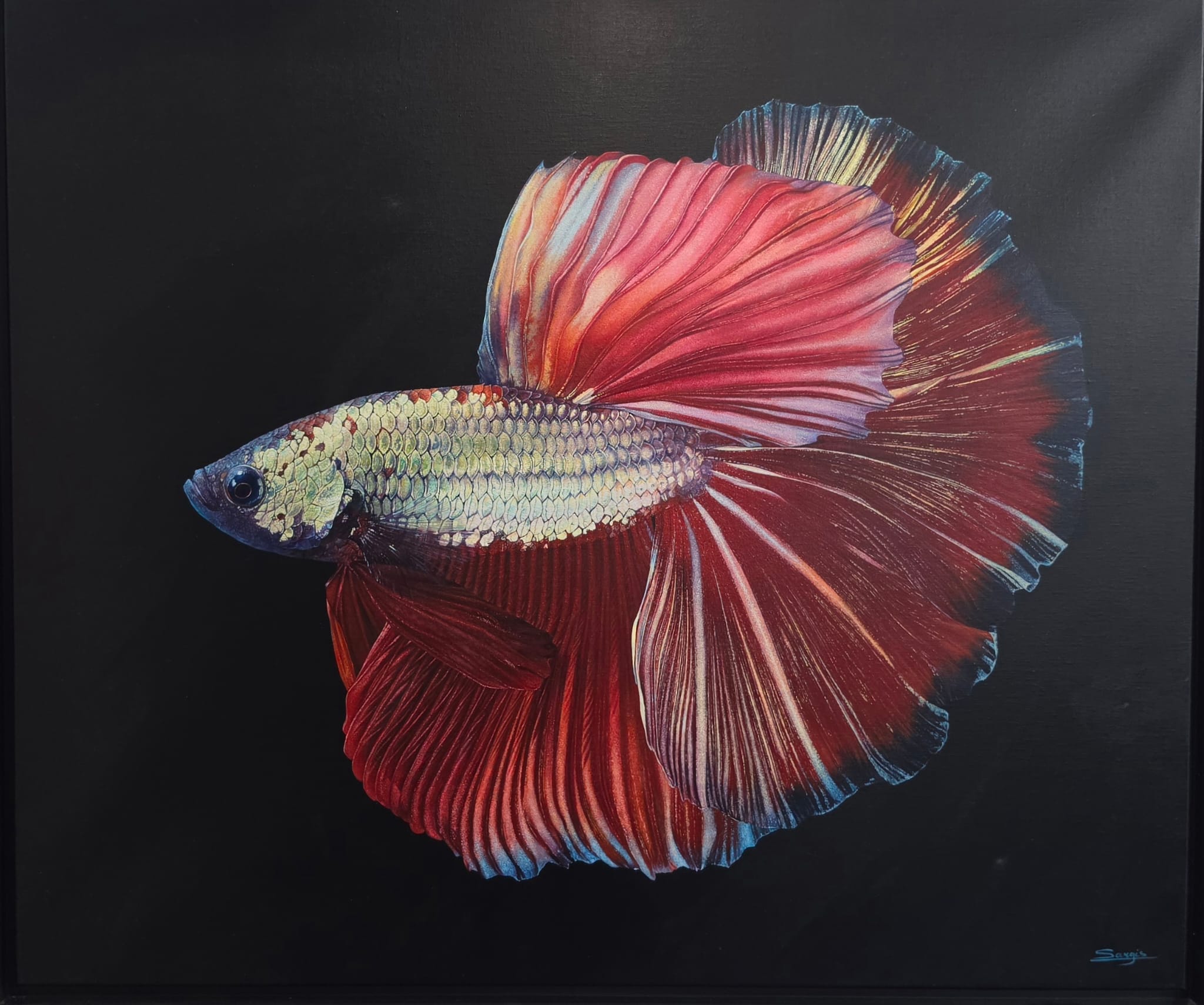Sargis Hovhannisyan | 'Siamese Fighting Fish, 2020' | 95x80cm-thumbmail-1