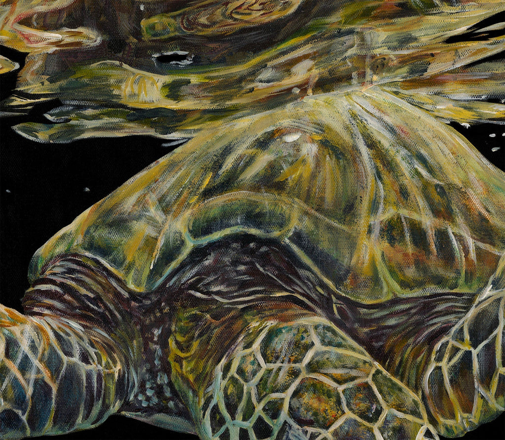 'Pantestudines' | 90x120cm