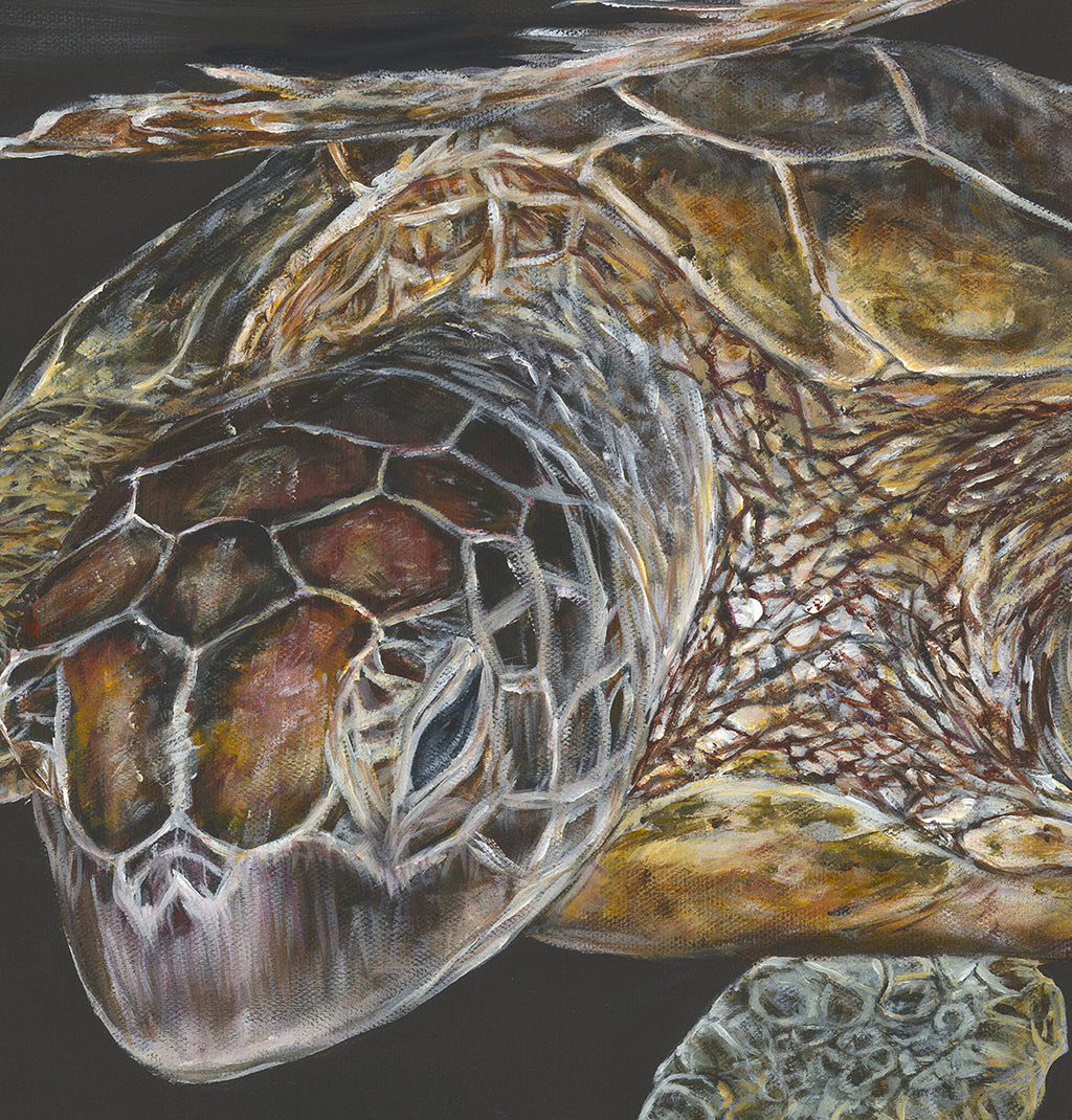 'Testudines' | 90x120cm