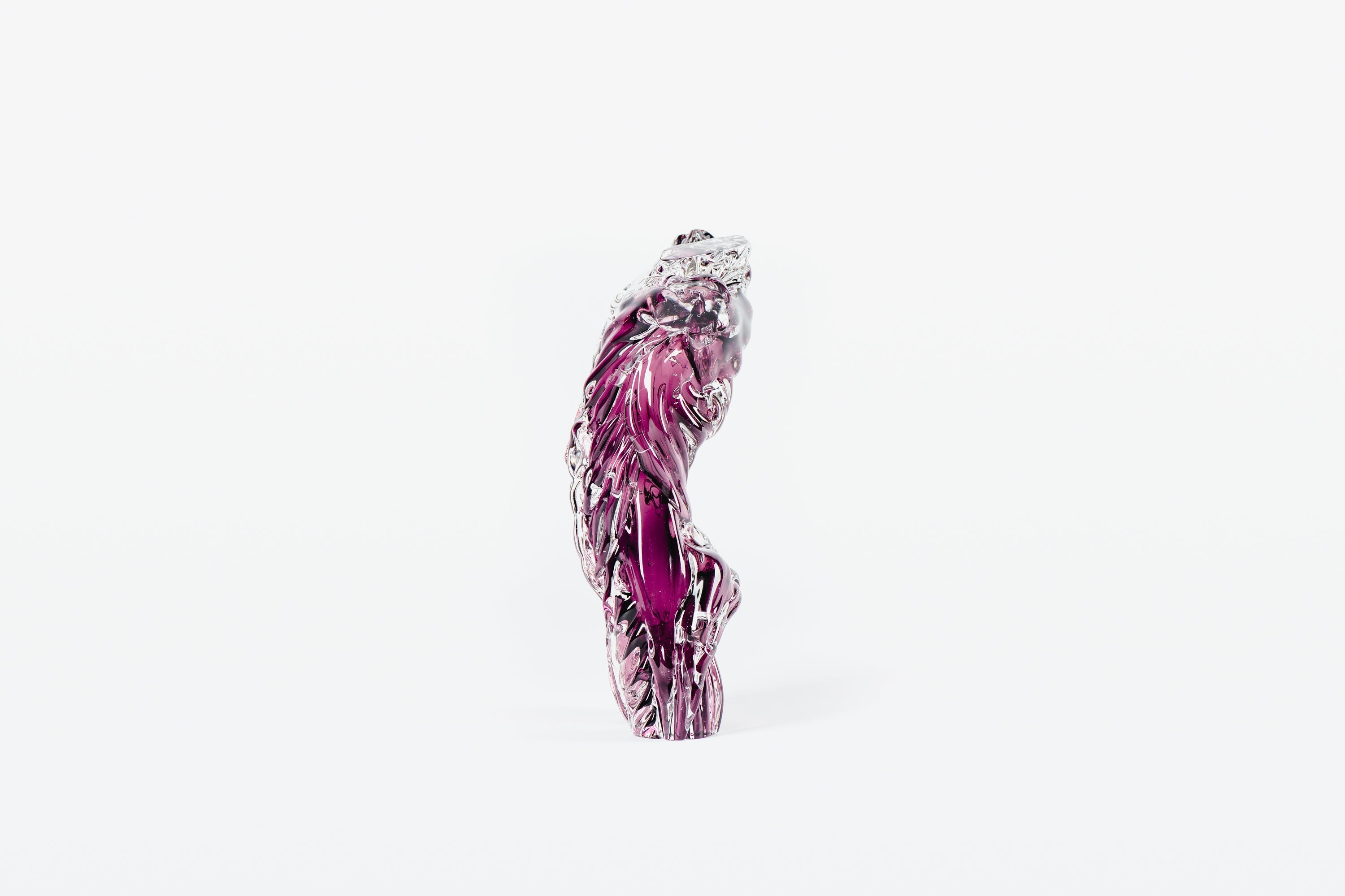 'Anatomy X' | 27x15x10cm-thumbmail-3