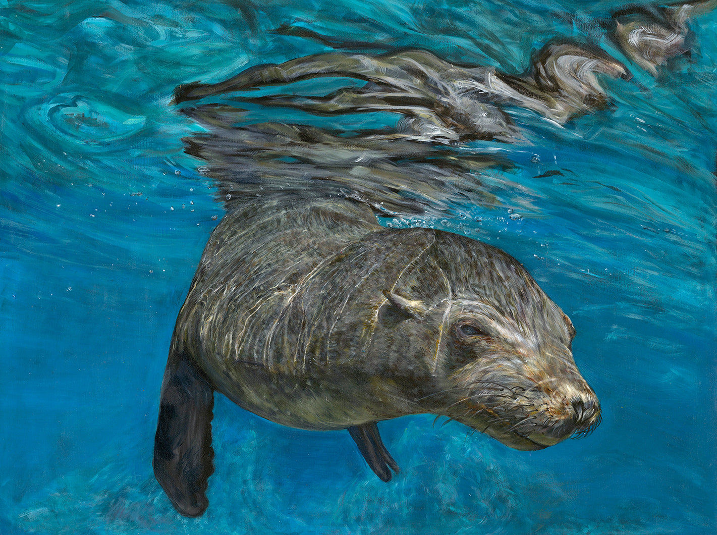 'Pinnipedia' | 90x120cm